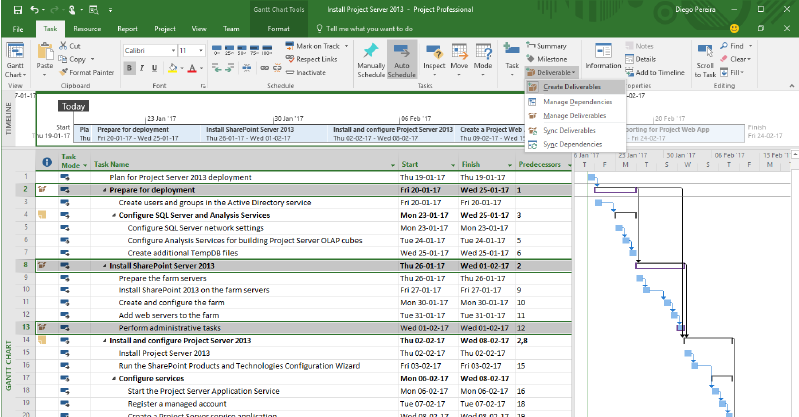 Microsoft Project Gantt Chart