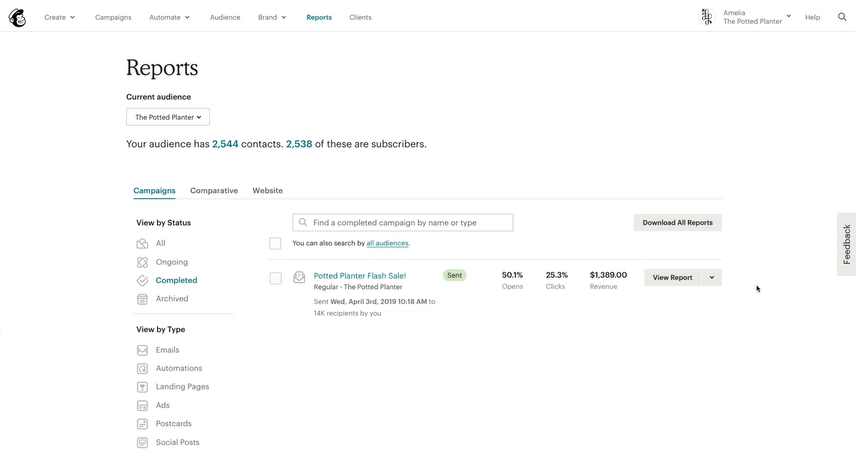 Mailchimp Reports
