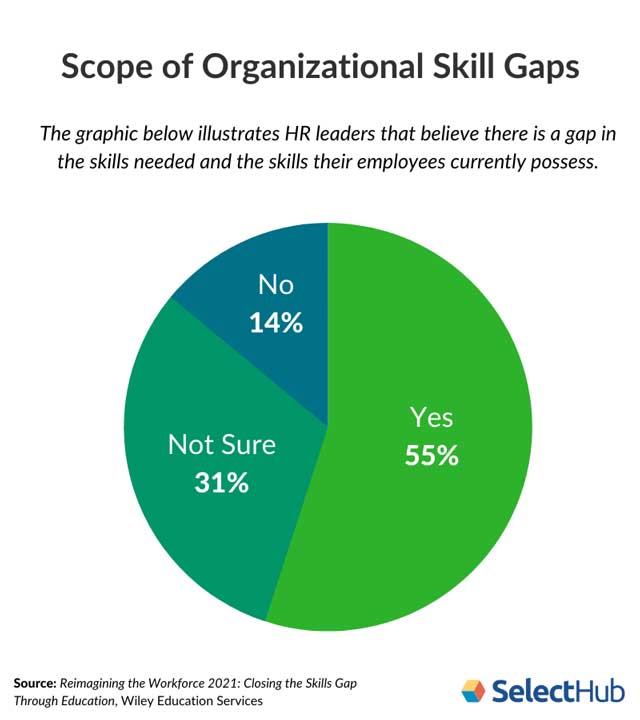 Scope of Organizational Skills Gap Data 2021