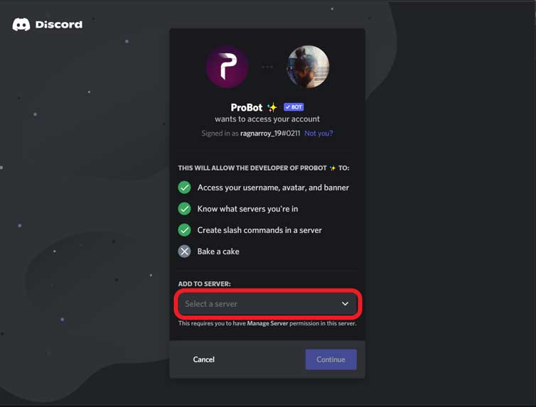 Granting access to Bot to Access Your Discord Account