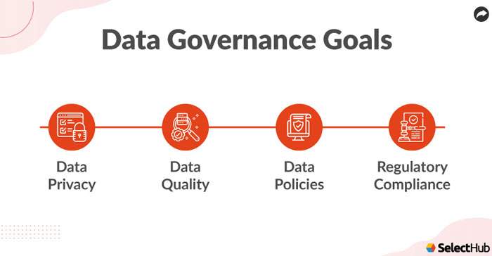 Data Governance Goals