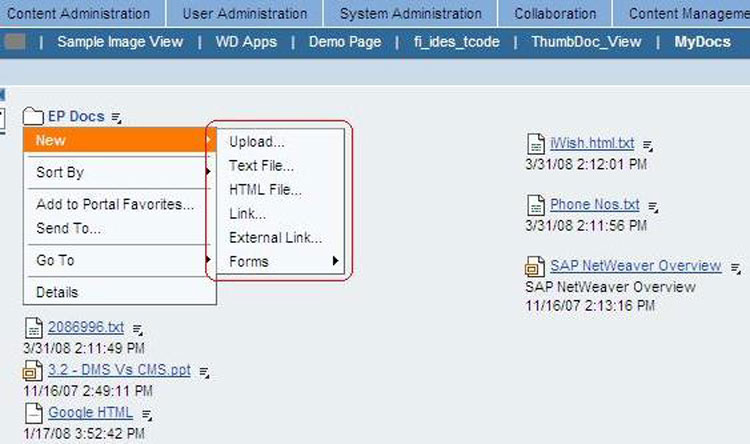 Folder Restrictions in SAP