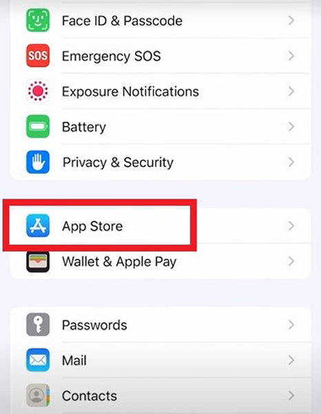 App Store in iOS Settings App