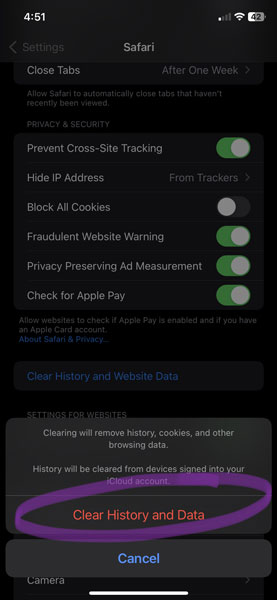 Safari Clear History and Data Option