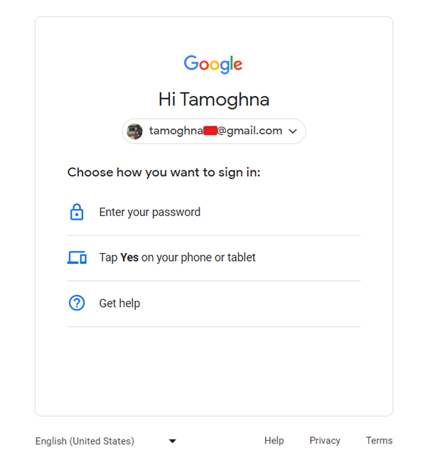 Sign In Options in Google Account