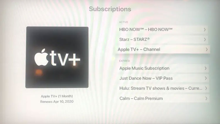 Subscriptions List in Apple TV