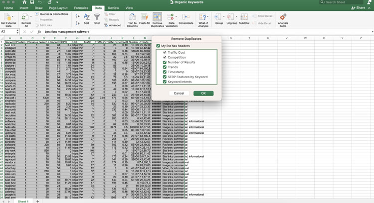 MS Excel Remove the Duplicates Dialog Box