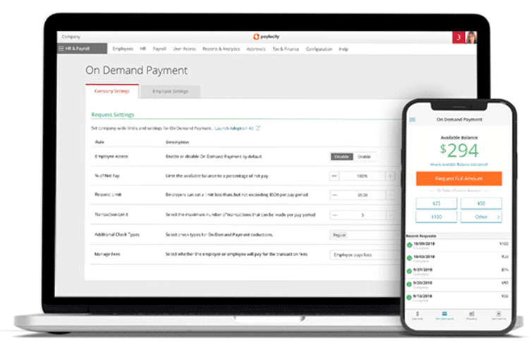 Paylocity On Demand Payment User Interface