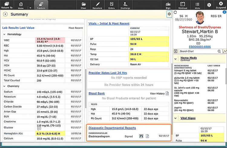 Patient Chart Meditech