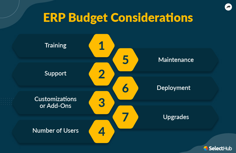 ERP Budget Considerations