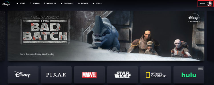 Disney Plus Home Page