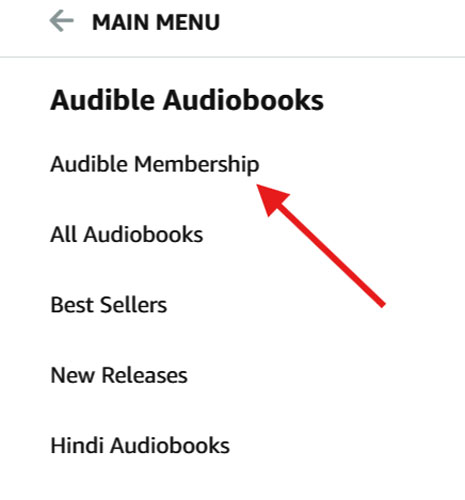 Audible Audiobook Options