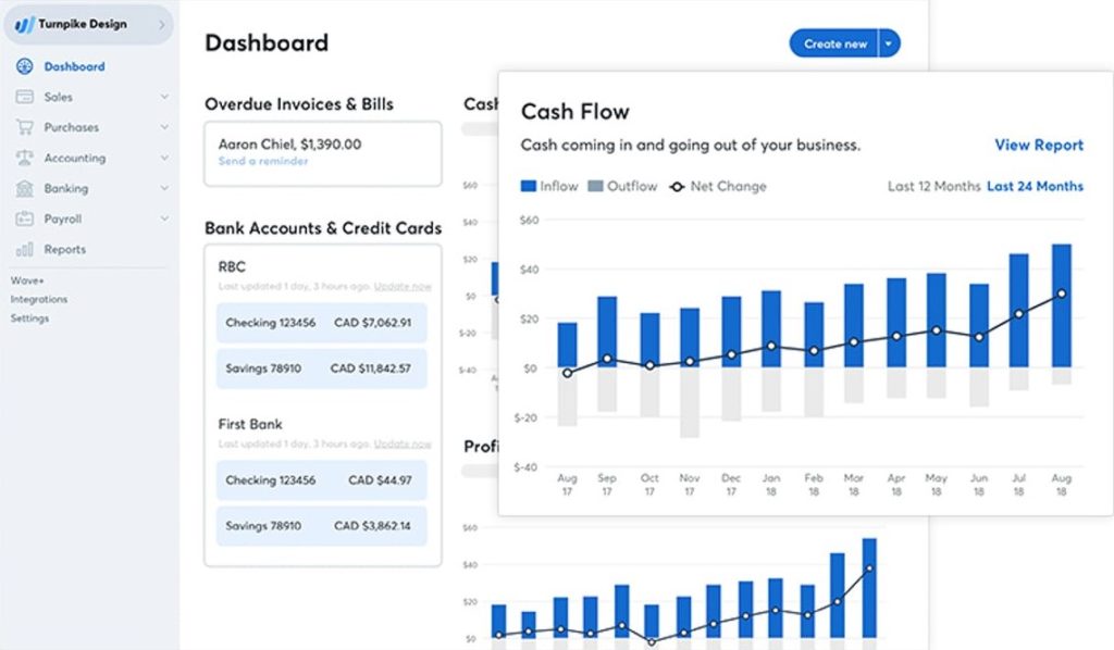 Wave Accounting Cash Flow Report