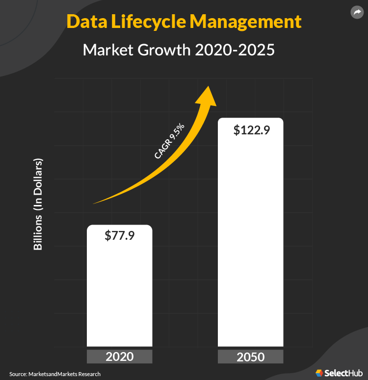 DLM Market Growth Chart