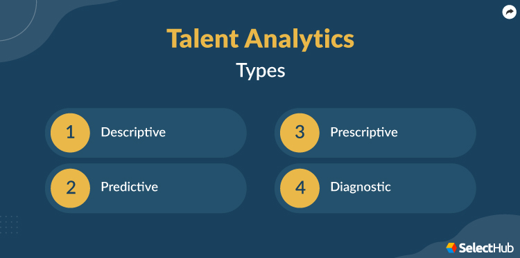 Talent Analytics Types