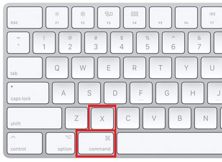 Cut Shortcut key on Mac