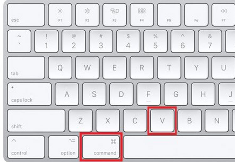 Paste Shortcut Key on Mac