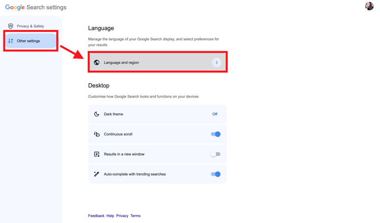 Google Language and Region Settings