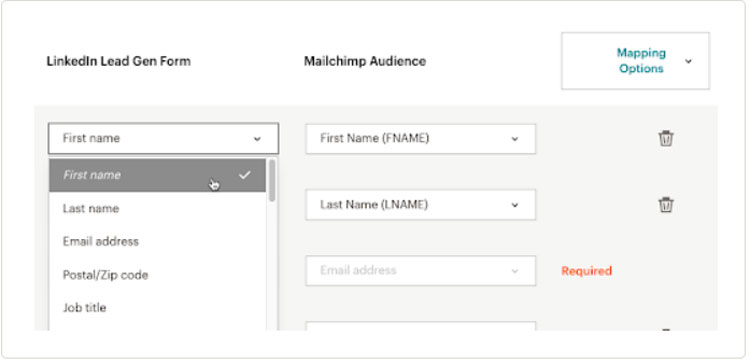 MailChimp Lead Generation Form